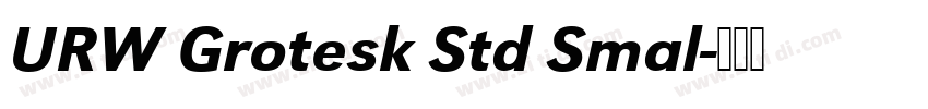URW Grotesk Std Smal字体转换